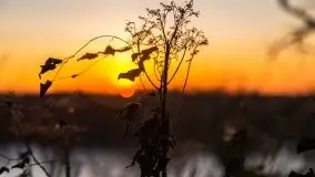 Wschód słońca nad jeziorem Gołdopiwo - zdjęcie 19