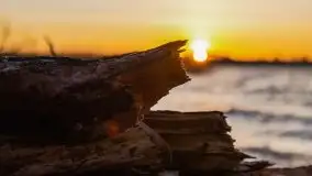 Wschód słońca nad jeziorem Gołdopiwo - zdjęcie 31