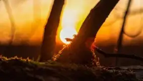 Wschód słońca nad jeziorem Gołdopiwo - zdjęcie 47