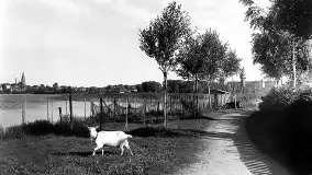 Przedwojenne zdjęcia Szczytna (Ortelsburg) - zdjęcie 14