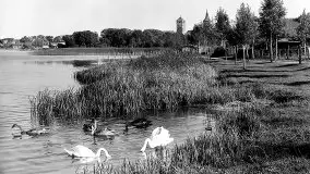 Przedwojenne zdjęcia Szczytna (Ortelsburg) - zdjęcie 33