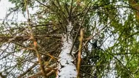 Zimowa szarówka w okolicach Kruklina, Gawlika Małego i Wydmin - zdjęcie 3