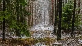 Zimowa szarówka w okolicach Kruklina, Gawlika Małego i Wydmin - zdjęcie 9