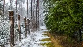Zimowa szarówka w okolicach Kruklina, Gawlika Małego i Wydmin - zdjęcie 7
