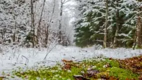 Zimowa szarówka w okolicach Kruklina, Gawlika Małego i Wydmin - zdjęcie 63