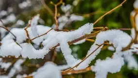 Zimowa szarówka w okolicach Kruklina, Gawlika Małego i Wydmin - zdjęcie 33