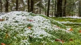 Zimowa szarówka w okolicach Kruklina, Gawlika Małego i Wydmin - zdjęcie 61