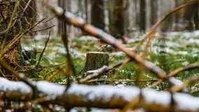 Zimowa szarówka w okolicach Kruklina, Gawlika Małego i Wydmin - zdjęcie 25