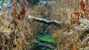 Zimowa szarówka w okolicach Kruklina, Gawlika Małego i Wydmin - zdjęcie 39