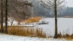 Zimowa szarówka w okolicach Kruklina, Gawlika Małego i Wydmin - zdjęcie 49