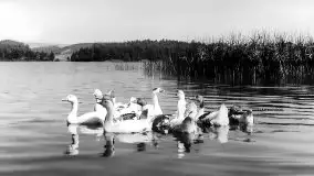 Przedwojenne zdjęcia Olecka (Marggrabowa, Oletzko) - zdjęcie 15