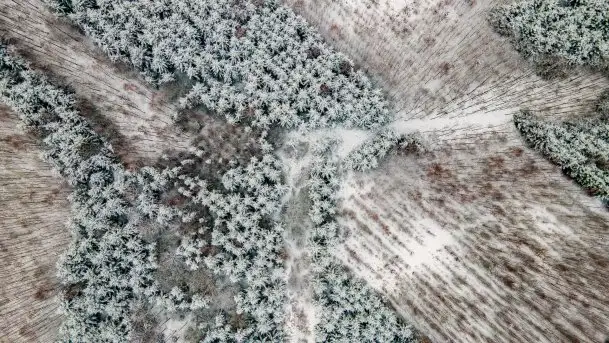 Posypało na Mazurach - zobacz okolice wsi Gajrowskie i Orłowo - zdjęcie 4