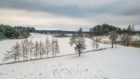 Posypało na Mazurach - zobacz okolice wsi Gajrowskie i Orłowo - zdjęcie 15