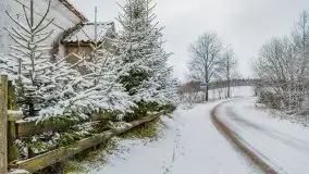 Posypało na Mazurach - zobacz okolice wsi Gajrowskie i Orłowo - zdjęcie 26