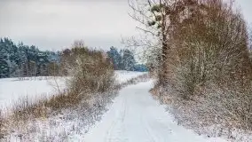 Posypało na Mazurach - zobacz okolice wsi Gajrowskie i Orłowo - zdjęcie 42