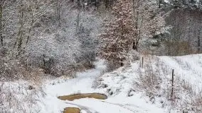 Posypało na Mazurach - zobacz okolice wsi Gajrowskie i Orłowo - zdjęcie 47