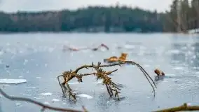 Zima nad jeziorem Wesołek, okolice Rucianej Nidy - zdjęcie 10