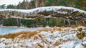 Zima nad jeziorem Wesołek, okolice Rucianej Nidy - zdjęcie 36