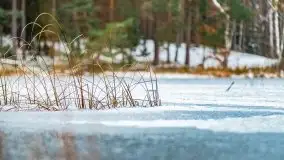 Zima nad jeziorem Wesołek, okolice Rucianej Nidy - zdjęcie 44