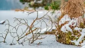 Zima nad jeziorem Wesołek, okolice Rucianej Nidy - zdjęcie 59