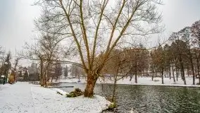 Zimowa szarówka w Rucianem-Nidzie - zdjęcie 23