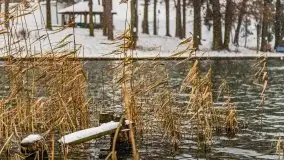 Zimowa szarówka w Rucianem-Nidzie - zdjęcie 13