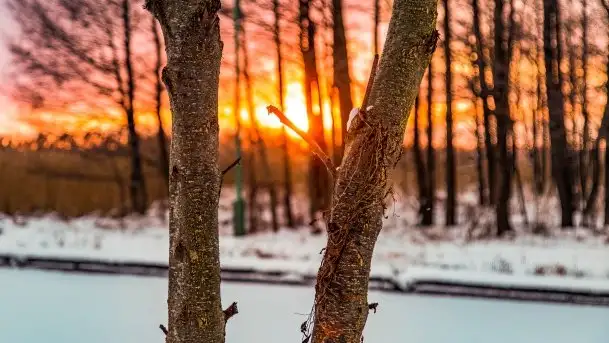 Zimowy zachód słońca między jeziorem Dargin i Sztynorckie