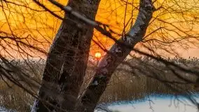 Zimowy wschód słońca nad jeziorem Dargin i... -27 stopni - zdjęcie 75