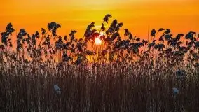 Zimowy wschód słońca nad jeziorem Dargin i... -27 stopni - zdjęcie 67