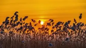 Zimowy wschód słońca nad jeziorem Dargin i... -27 stopni - zdjęcie 93