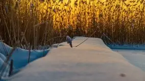 Zimowy wschód słońca nad jeziorem Dargin i... -27 stopni - zdjęcie 104