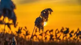 Zimowy wschód słońca nad jeziorem Dargin i... -27 stopni - zdjęcie 105