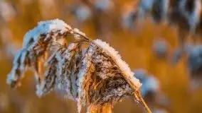 Zimowy wschód słońca nad jeziorem Dargin i... -27 stopni - zdjęcie 90