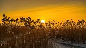 Zimowy wschód słońca nad jeziorem Dargin i... -27 stopni - zdjęcie 106