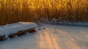 Zimowy wschód słońca nad jeziorem Dargin i... -27 stopni - zdjęcie 108