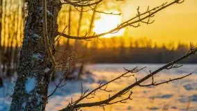 Zimowy wschód słońca nad jeziorem Dargin i... -27 stopni - zdjęcie 114