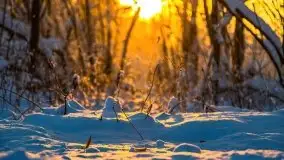 Zimowy wschód słońca nad jeziorem Dargin i... -27 stopni - zdjęcie 73