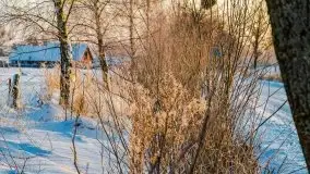 Zimowy wschód słońca nad jeziorem Dargin i... -27 stopni - zdjęcie 70