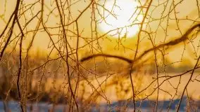 Zimowy wschód słońca nad jeziorem Dargin i... -27 stopni - zdjęcie 87