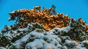 Zachód słońca nad jeziorem Święcajty, Cmentarz wojenny Jagerhohe - zdjęcie 32