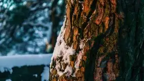 Zachód słońca nad jeziorem Święcajty, Cmentarz wojenny Jagerhohe - zdjęcie 41