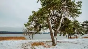 Mazurska zima na zdjęciach Staszka Sielewicza - zdjęcie 31