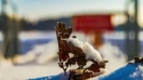 Stanica Wodna Stranda w zimowej scenerii - zdjęcie 36