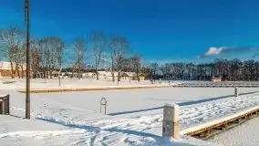 Port w Sztynorcie w zimowej scenerii, styczeń 2021 r. - zdjęcie 31