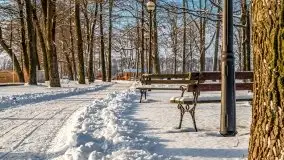 Port w Sztynorcie w zimowej scenerii, styczeń 2021 r. - zdjęcie 38