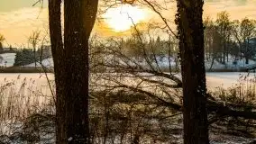 Zimowe Wydminy przed zachodem słońca, styczeń 2021 r. - zdjęcie 27