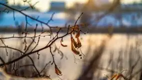 Zimowe Wydminy przed zachodem słońca, styczeń 2021 r. - zdjęcie 24