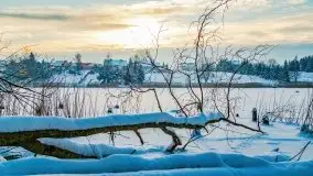 Zimowe Wydminy przed zachodem słońca, styczeń 2021 r. - zdjęcie 29