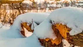 Zimowe Wydminy przed zachodem słońca, styczeń 2021 r. - zdjęcie 21