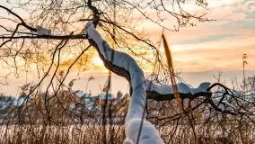 Zimowe Wydminy przed zachodem słońca, styczeń 2021 r. - zdjęcie 49